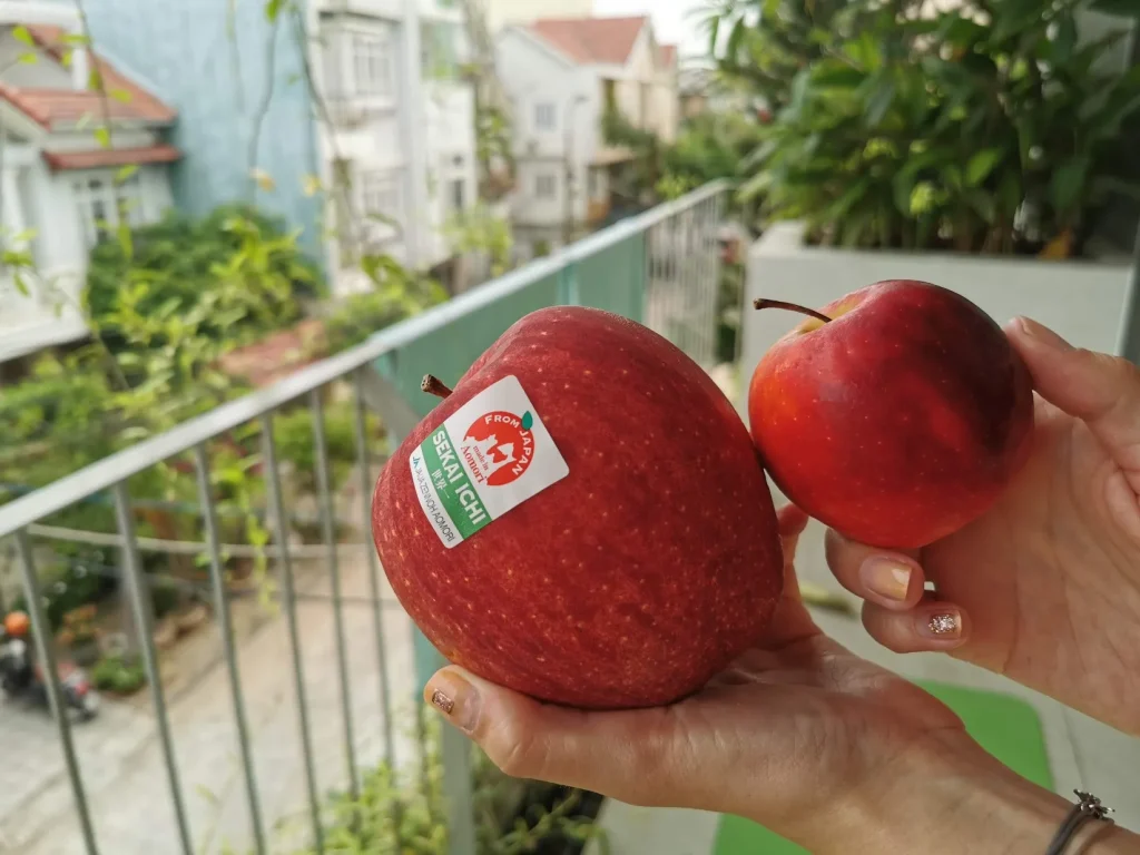 معرفی گران‌ ترین میوه‌ های دنیا | انواع میوه‌ های گران قیمت در جهان - سیب سکای ایچی