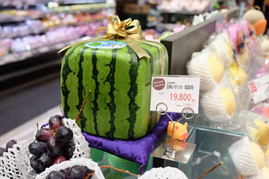 گران قیمت ترین میوه های دنیا - هندوانه مکعبی