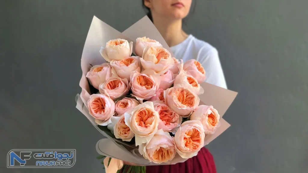 رز سوییت ژولیت قشنگ ترین گل