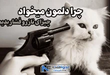 چرا دلمون میخواد چیزای ناز رو فشار بدیم