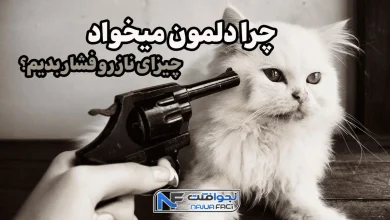 چرا دلمون میخواد چیزای ناز رو فشار بدیم