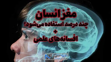 مغز انسان چند درصد استفاده می شود