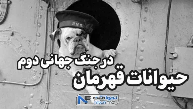 حیوانات قهرمان جنگ جهانی دوم