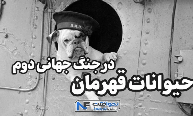 حیوانات قهرمان جنگ جهانی دوم