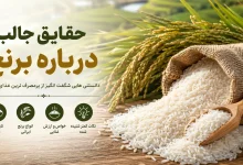 حقایق جالب درباره برنج