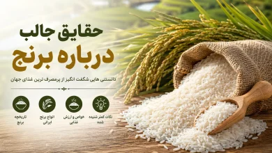 حقایق جالب درباره برنج